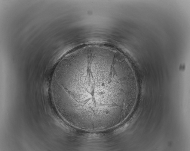 X0000090751401200707271435
