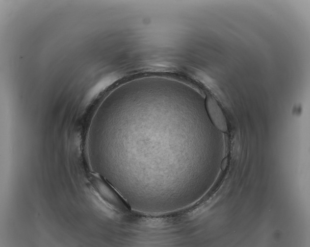 X0000090751402200707271435