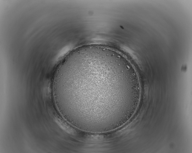 X0000090751403200707271435