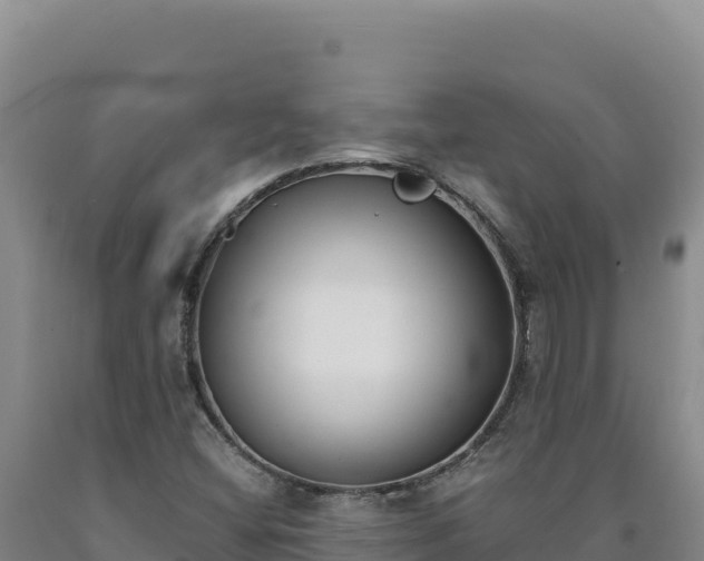 X0000090751404200707271435