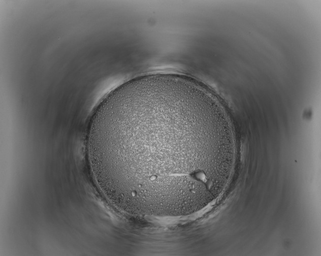 X0000090751405200707271435