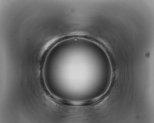 X0000090751406200707271435
