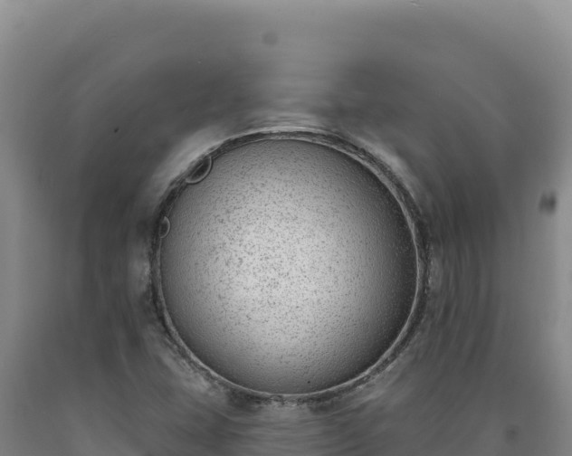 X0000090751407200707271435