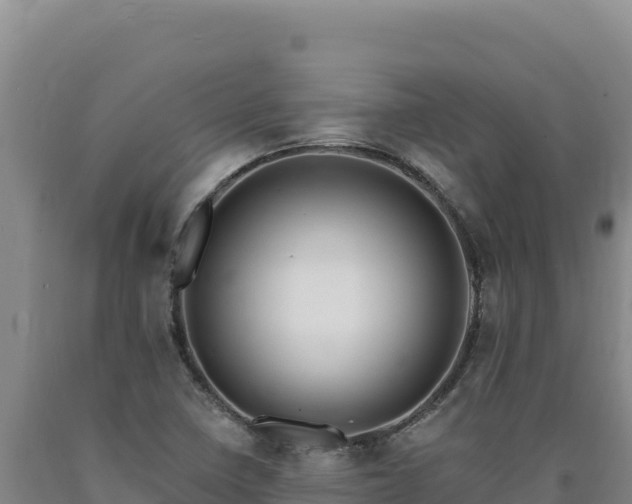 X0000090751410200707271435