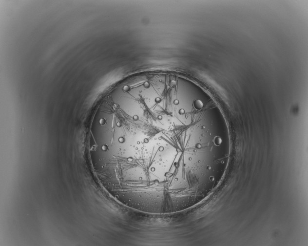 X0000090751411200707271435