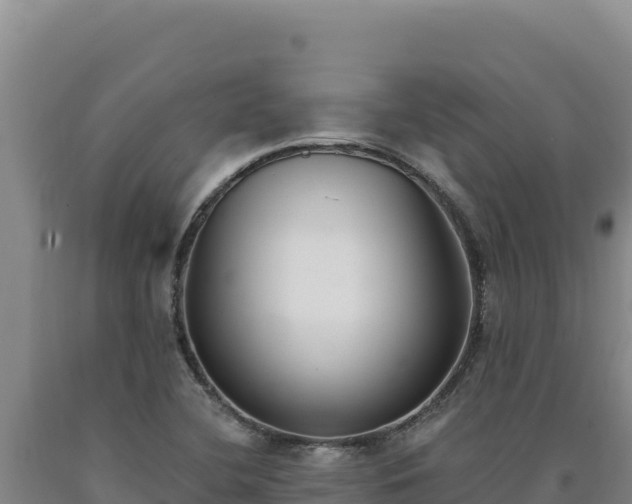 X0000090751412200707271435