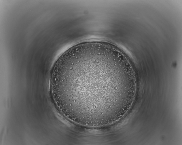 X0000090751413200707271435