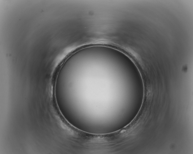 X0000090751414200707271435