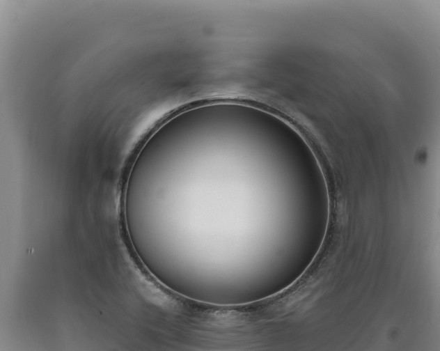 X0000090751416200707271435