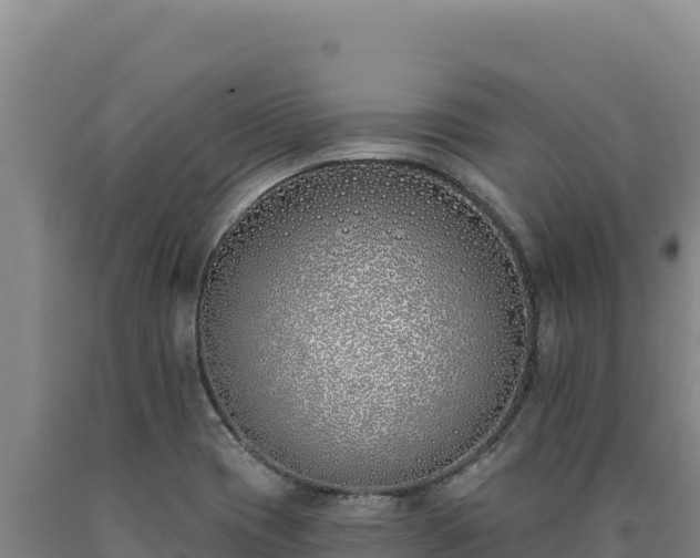 X0000090751417200707271435