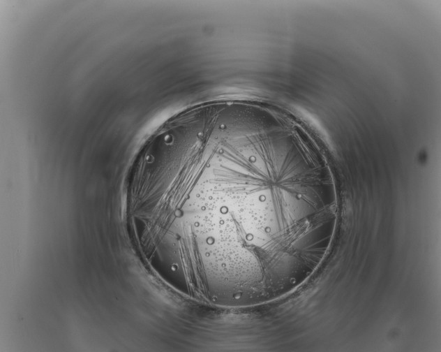 X0000090751419200707271435