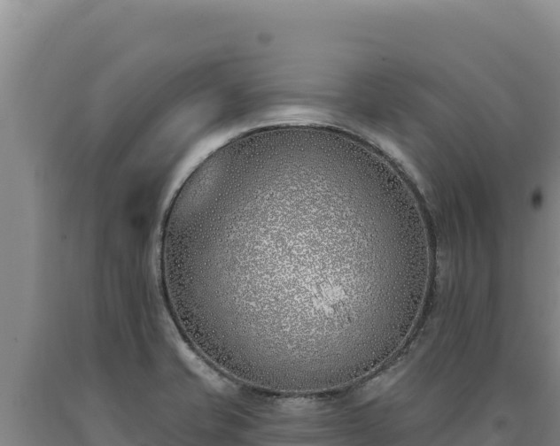 X0000090751421200707271436