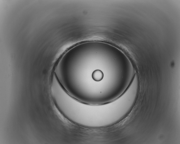 X0000090751422200707271436