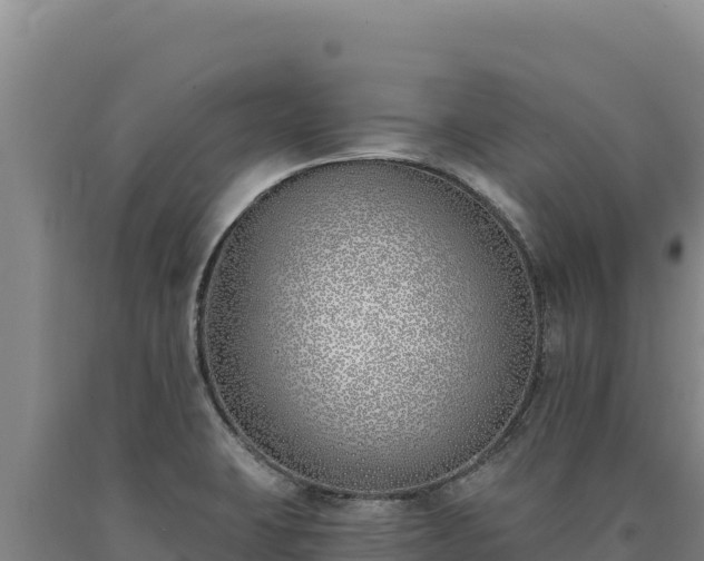 X0000090751423200707271436