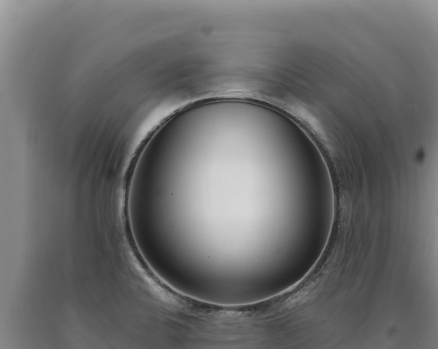 X0000090751424200707271436