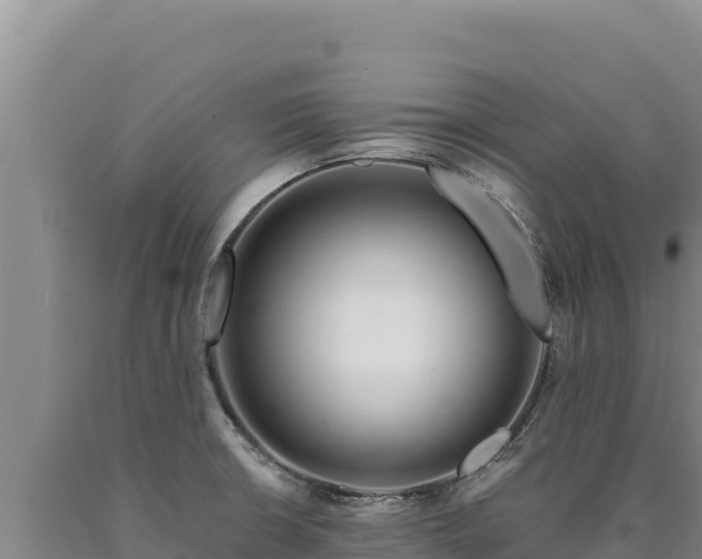 X0000090751426200707271436