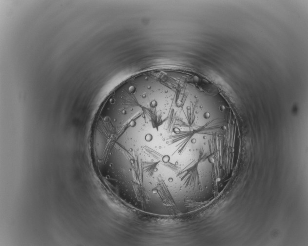 X0000090751427200707271436