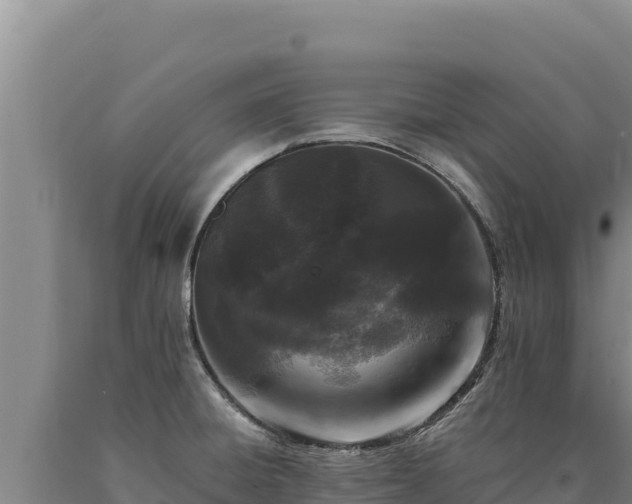 X0000090751428200707271436