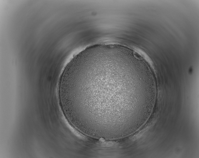 X0000090751429200707271436
