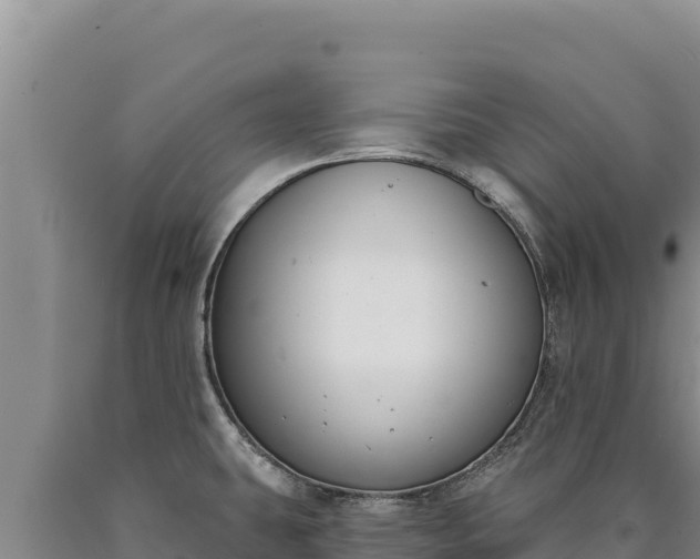 X0000090751431200707271436