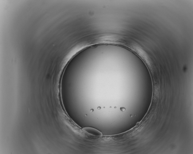 X0000090751435200707271436