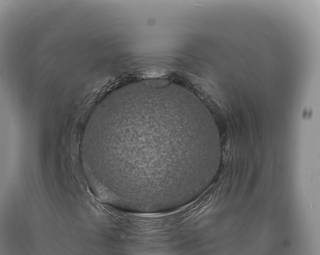 X0000090751441200707271435