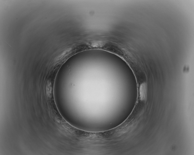 X0000090751443200707271435