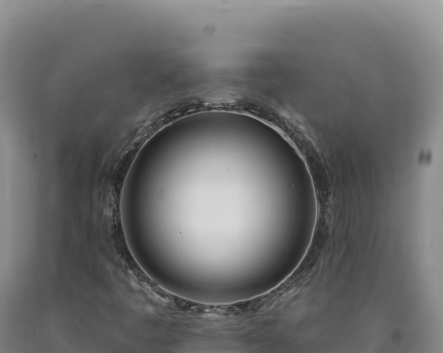 X0000090751445200707271435