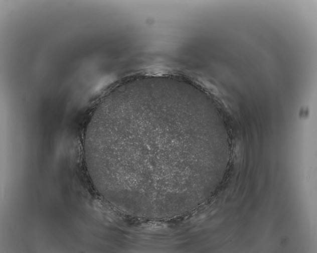 X0000090751446200707271435