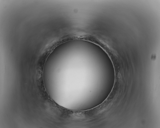 X0000090751447200707271435