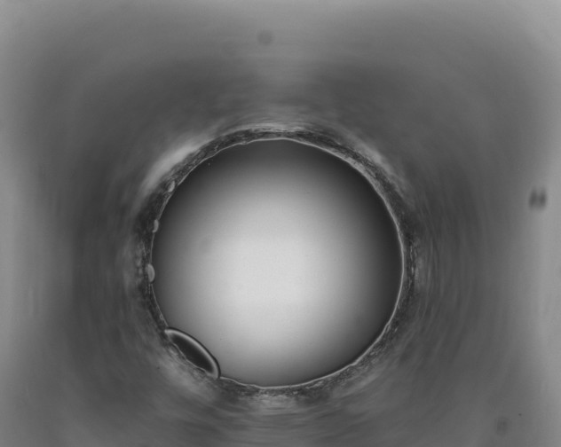 X0000090751448200707271435