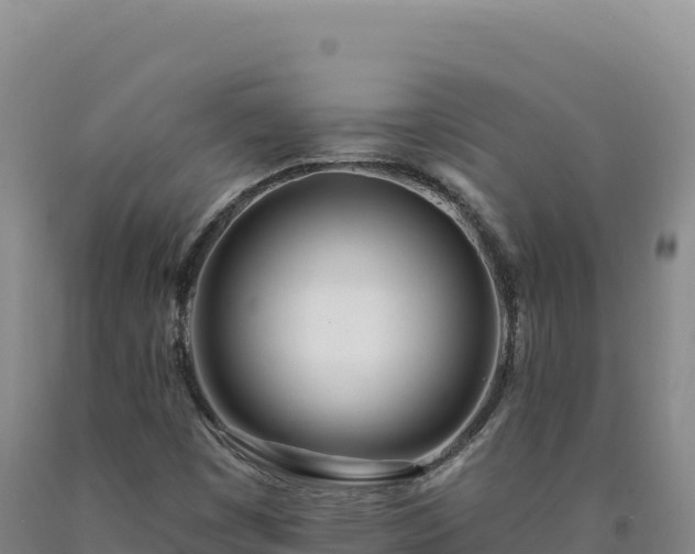 X0000090751449200707271435