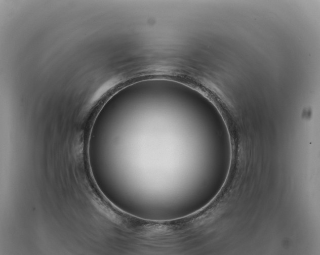 X0000090751450200707271435