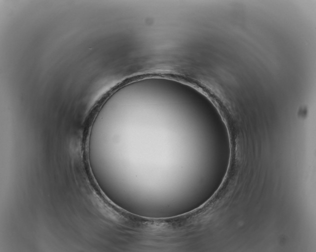 X0000090751452200707271435