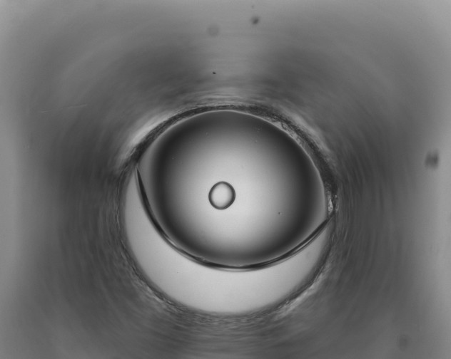 X0000090751453200707271435