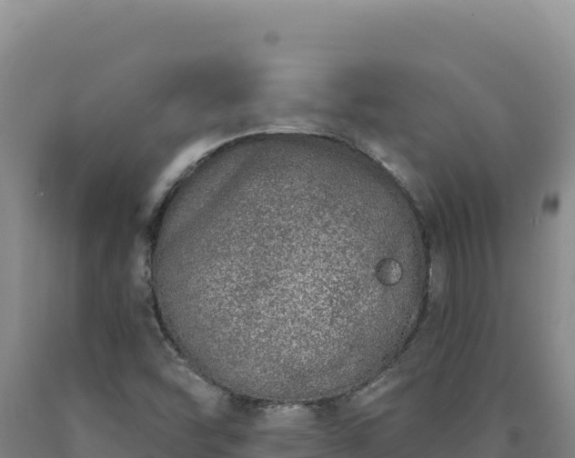 X0000090751454200707271435