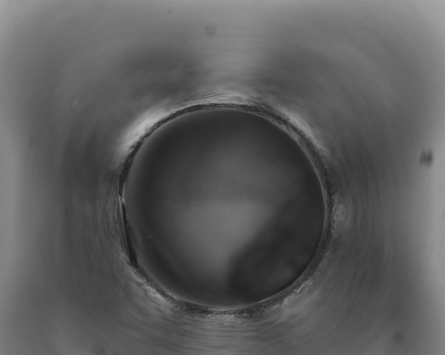 X0000090751455200707271435