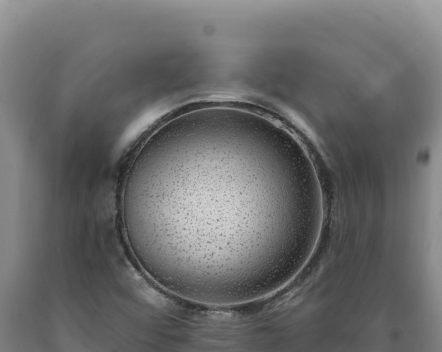 X0000090751456200707271435
