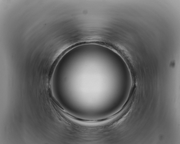 X0000090751457200707271435