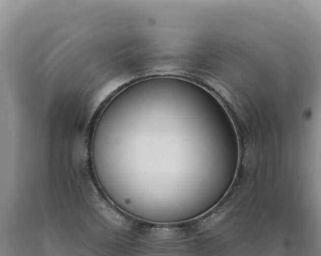 X0000090751458200707271435