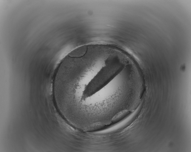 X0000090751459200707271435