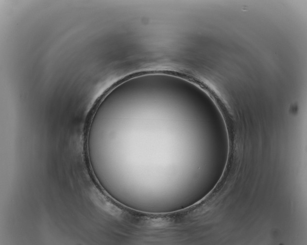 X0000090751460200707271435