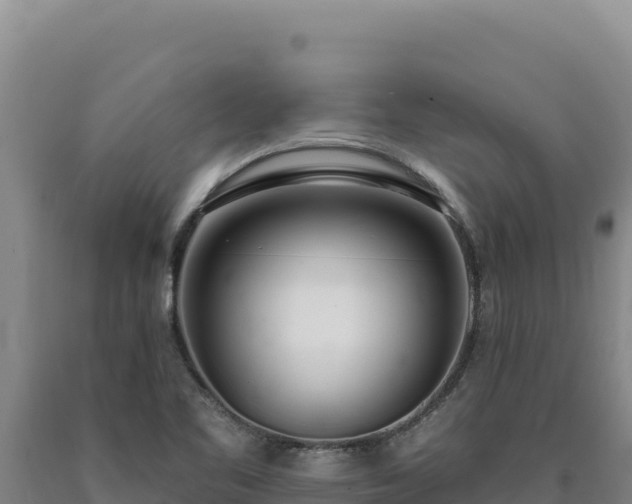 X0000090751461200707271435