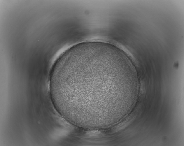 X0000090751462200707271435