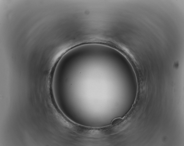 X0000090751463200707271435