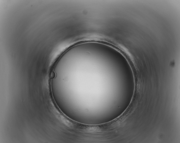 X0000090751464200707271435