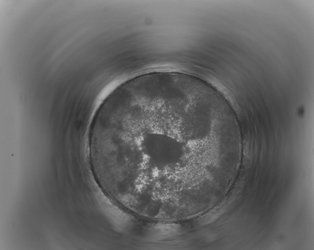 X0000090751466200707271435