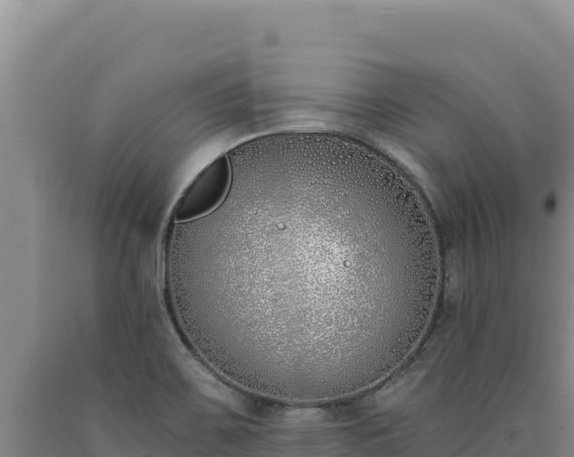 X0000090751467200707271435