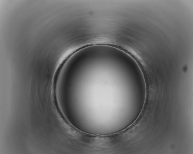 X0000090751469200707271435