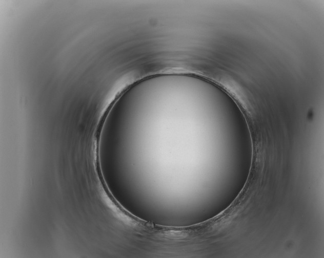 X0000090751476200707271435